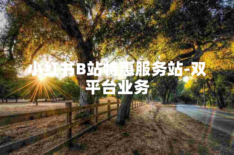 小红书B站特惠服务站-双平台业务