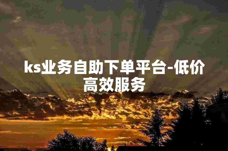 ks业务自助下单平台-低价高效服务