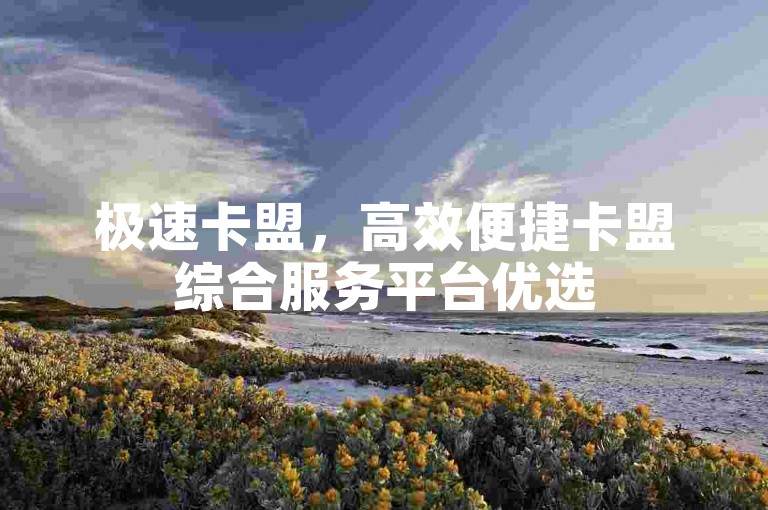 极速卡盟，高效便捷卡盟综合服务平台优选