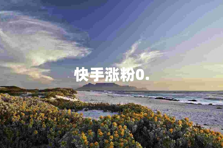 快手涨粉0.5元50个粉网站直营-星辰网络快速下单特惠