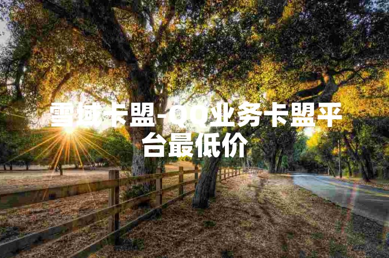 雪域卡盟-QQ业务卡盟平台最低价