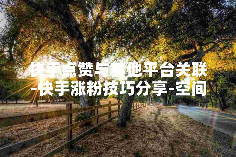 快手点赞与其他平台关联-快手涨粉技巧分享-空间浏览与互动差异-会员优惠充值渠道