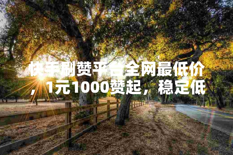 快手刷赞平台全网最低价，1元1000赞起，稳定低价，微信支付秒到账