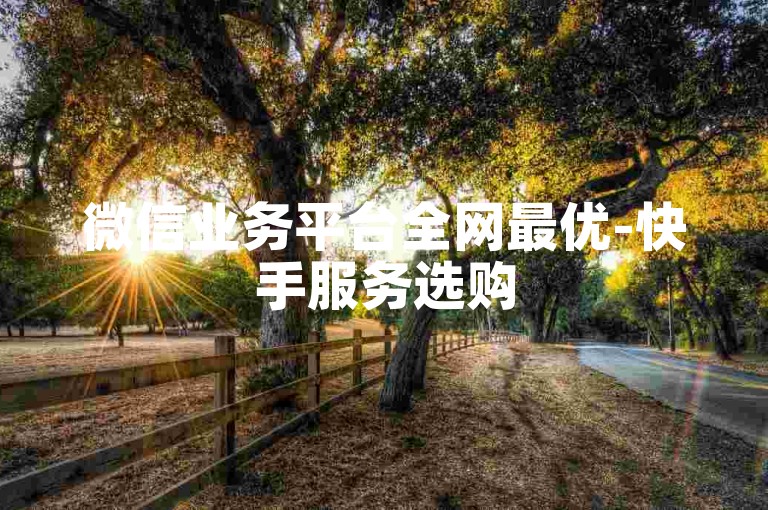 微信业务平台全网最优-快手服务选购