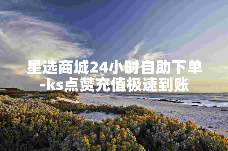 星选商城24小时自助下单-ks点赞充值极速到账