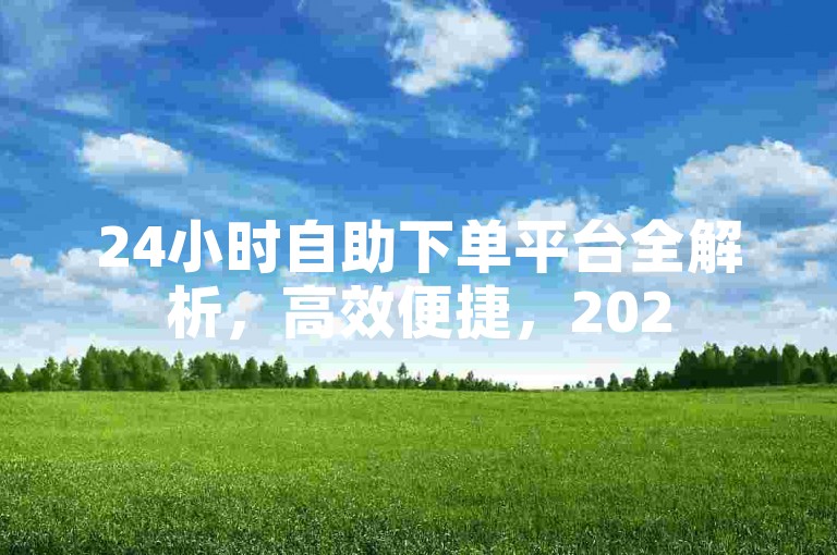 24小时自助下单平台全解析，高效便捷，2025年必备业务神器！