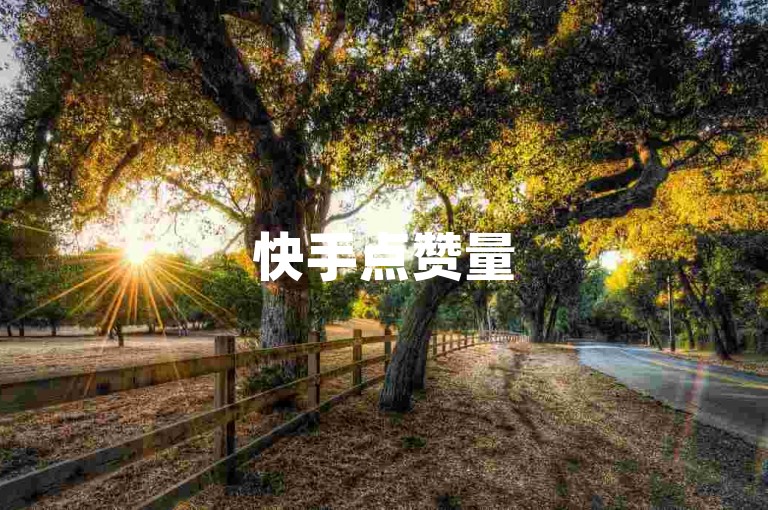 快手点赞量500特惠下单 - 速刷平台震撼登场 贴心服务随心享
