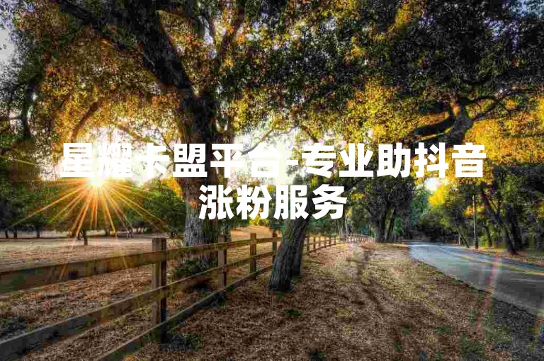 星耀卡盟平台-专业助抖音涨粉服务