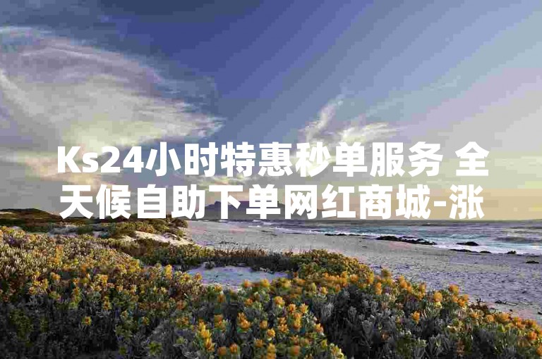 Ks24小时特惠秒单服务 全天候自助下单网红商城-涨粉助力平台运营攻略