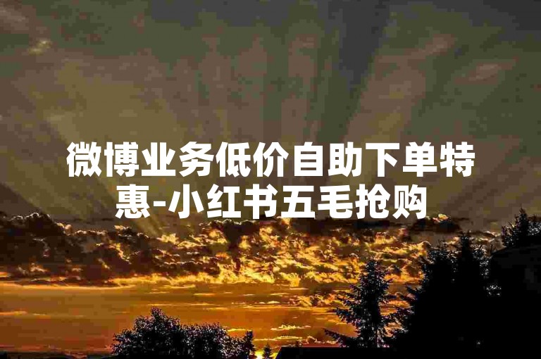 微博业务低价自助下单特惠-小红书五毛抢购5000点赞