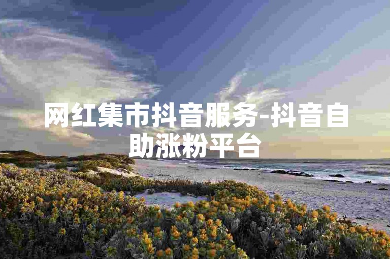 网红集市抖音服务-抖音自助涨粉平台