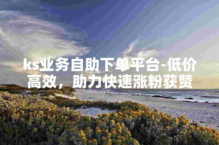ks业务自助下单平台-低价高效，助力快速涨粉获赞