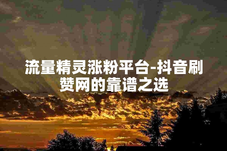 流量精灵涨粉平台-抖音刷赞网的靠谱之选