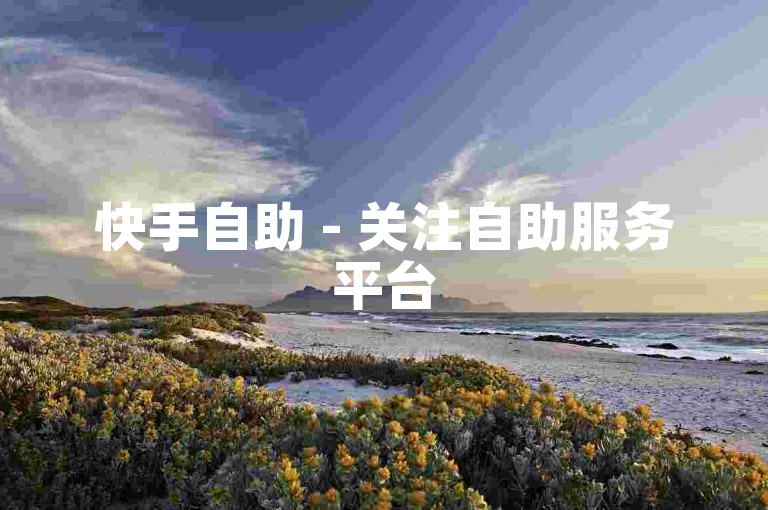 快手自助 - 关注自助服务平台