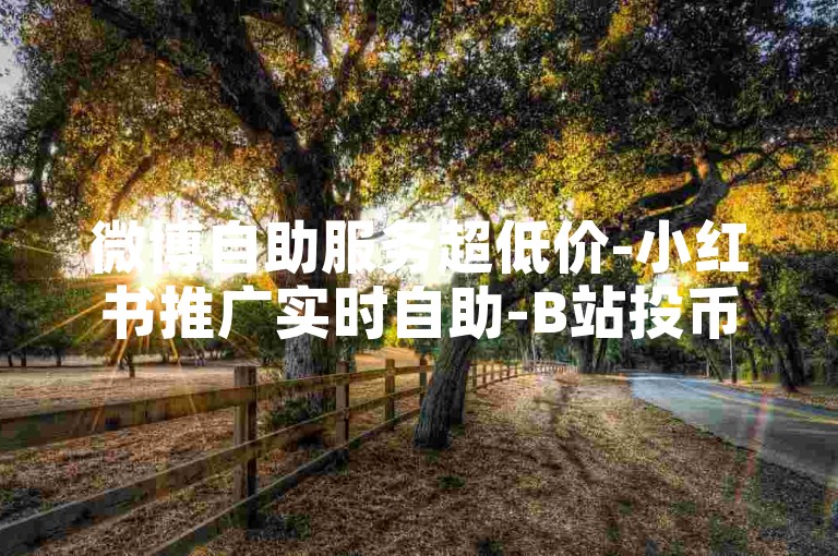 微博自助服务超低价-小红书推广实时自助-B站投币下单支付宝支付-业务自助下单系统