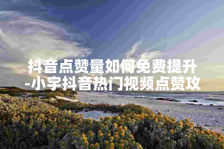 抖音点赞量如何免费提升-小宇抖音热门视频点赞攻略