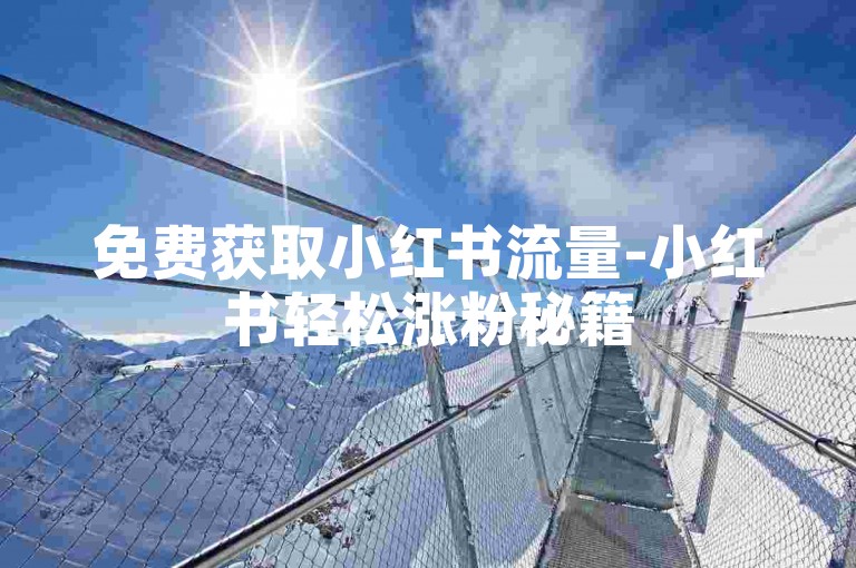 免费获取小红书流量-小红书轻松涨粉秘籍