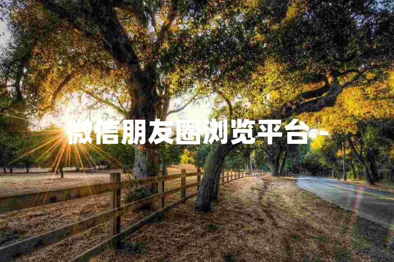 微信朋友圈浏览平台 -