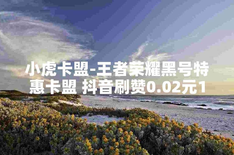 小虎卡盟-王者荣耀黑号特惠卡盟 抖音刷赞0.02元100个赞