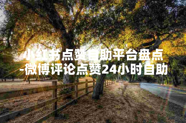 小红书点赞自助平台盘点-微博评论点赞24小时自助 小红书业务平台全天在线 低价自助下单商城