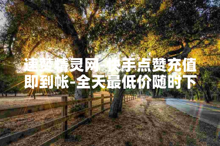 速赞精灵网-快手点赞充值即到帐-全天最低价随时下单
