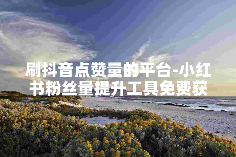 刷抖音点赞量的平台-小红书粉丝量提升工具免费获取及操作教程