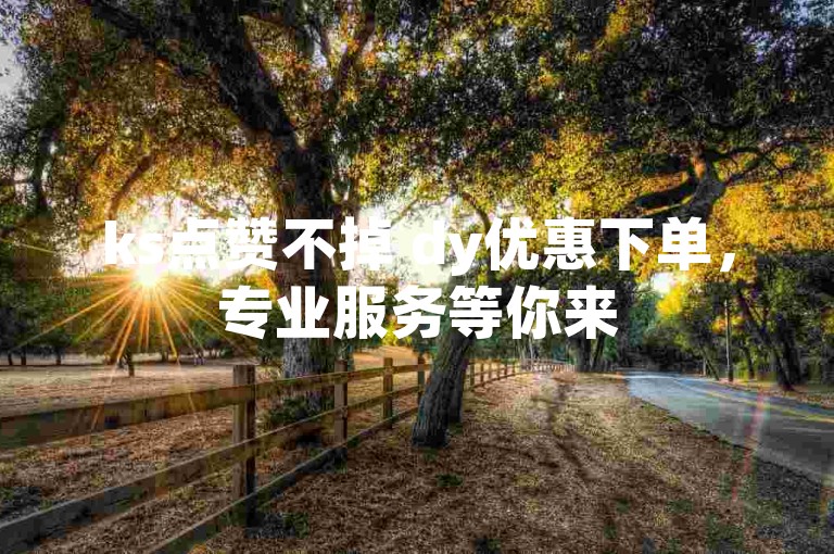 ks点赞不掉 dy优惠下单，专业服务等你来