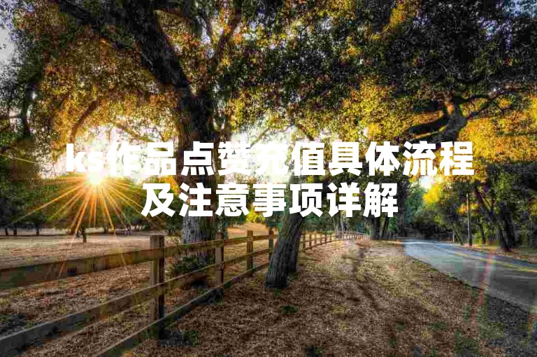 ks作品点赞充值具体流程及注意事项详解