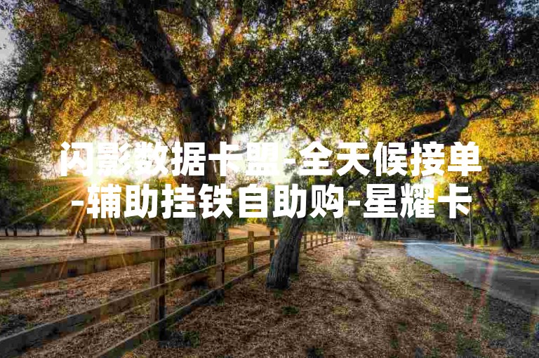 闪影数据卡盟-全天候接单-辅助挂铁自助购-星耀卡盟24小时自助服务站