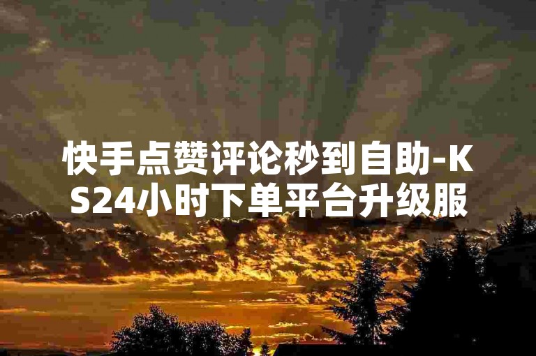 快手点赞评论秒到自助-KS24小时下单平台升级服务更优