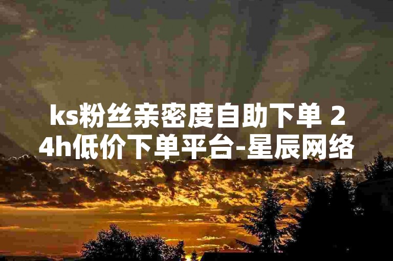 ks粉丝亲密度自助下单 24h低价下单平台-星辰网络-畅享便捷服务