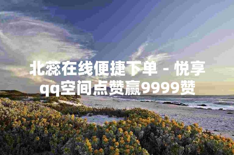 北蕊在线便捷下单 - 悦享qq空间点赞赢9999赞