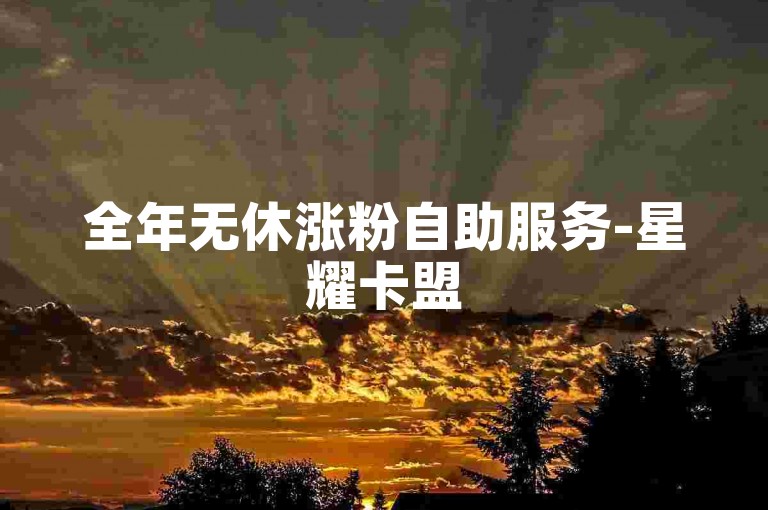 全年无休涨粉自助服务-星耀卡盟
