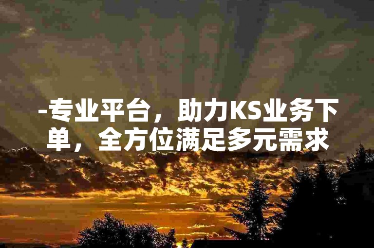 -专业平台，助力KS业务下单，全方位满足多元需求！