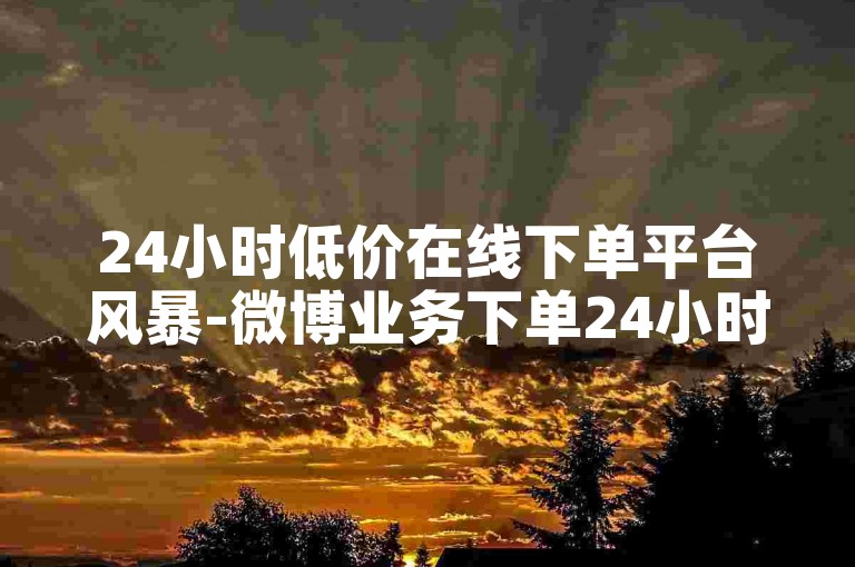 24小时低价在线下单平台风暴-微博业务下单24小时最低价-微博充值平台-低价快手作品点赞业务网-
