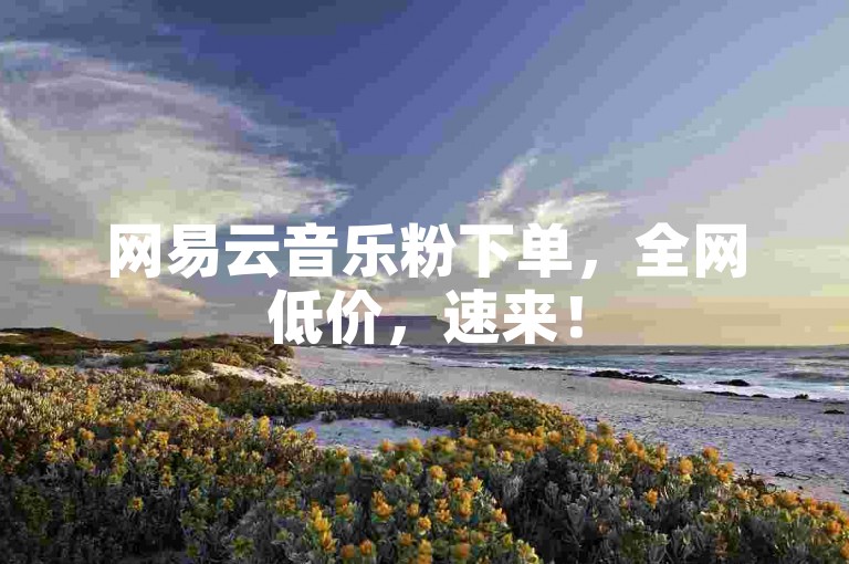 网易云音乐粉下单，全网低价，速来！