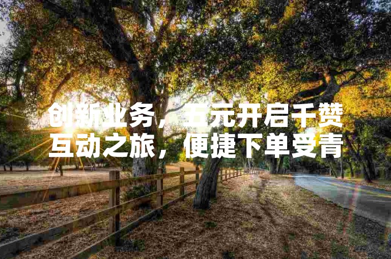 创新业务，五元开启千赞互动之旅，便捷下单受青睐