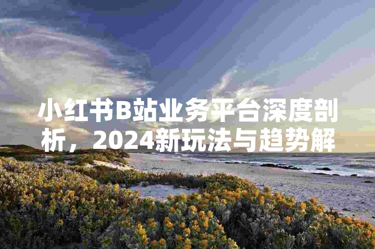 小红书B站业务平台深度剖析，2024新玩法与趋势解读！必学技巧-