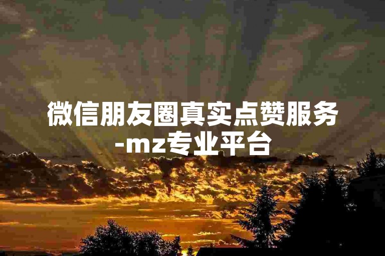微信朋友圈真实点赞服务-mz专业平台