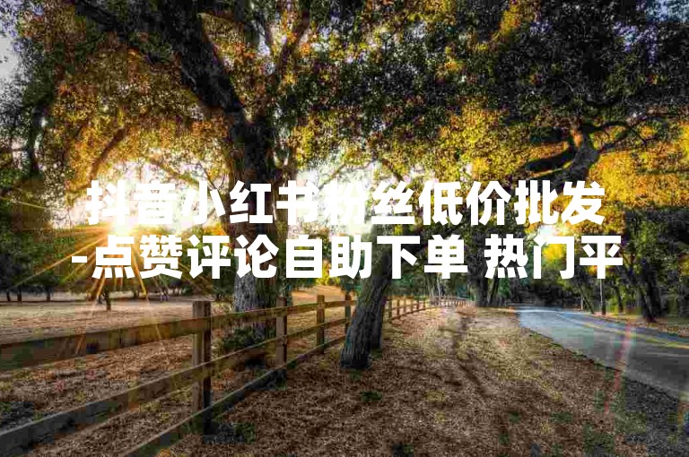 抖音小红书粉丝低价批发-点赞评论自助下单 热门平台涨粉涨赞业务