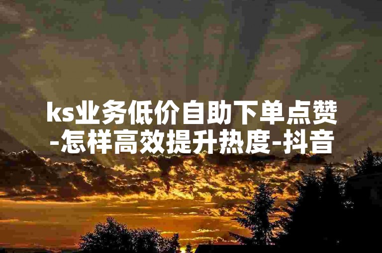 ks业务低价自助下单点赞-怎样高效提升热度-抖音评论网站超实惠-自助下单点赞量-