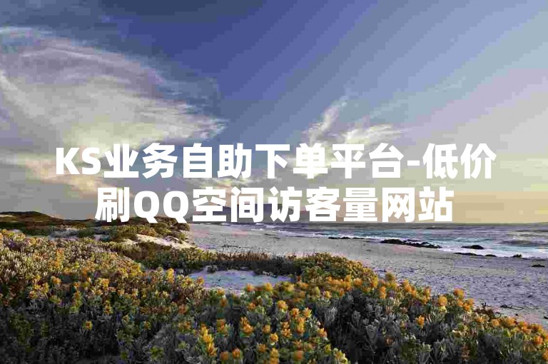 KS业务自助下单平台-低价刷QQ空间访客量网站
