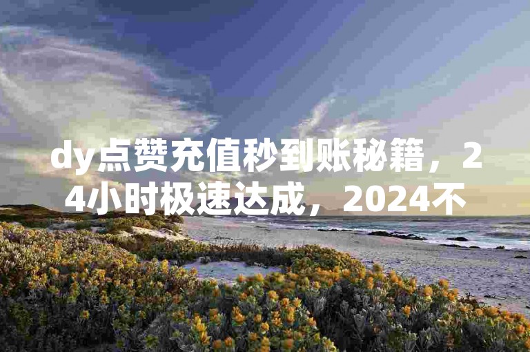 dy点赞充值秒到账秘籍，24小时极速达成，2024不容错过！