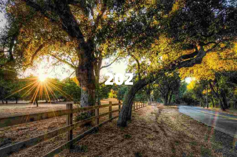 2025必知，24小时自助下单平台，高效便捷助你腾飞！
