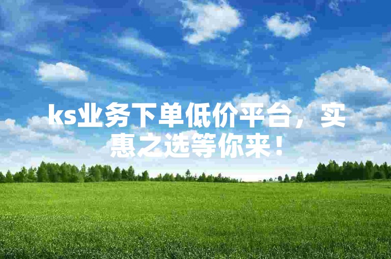 ks业务下单低价平台，实惠之选等你来！
