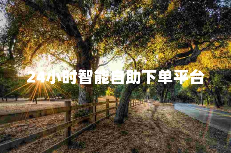 24小时智能自助下单平台
