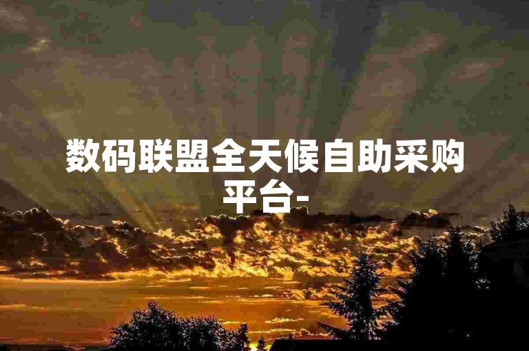 数码联盟全天候自助采购平台-