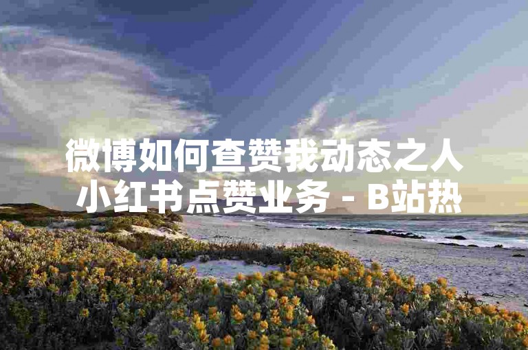 微博如何查赞我动态之人 小红书点赞业务 - B站热门攻略深度解析