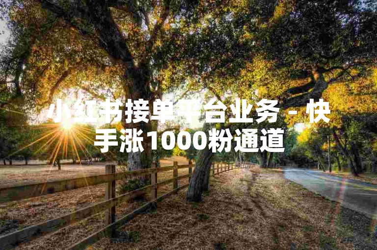 小红书接单平台业务 - 快手涨1000粉通道