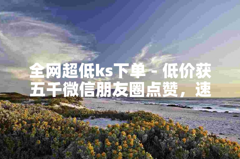 全网超低ks下单 - 低价获五千微信朋友圈点赞，速来查看！